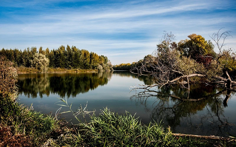  Medio ambiente